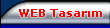 web tasar�m