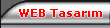web tasar�m