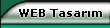 web tasar�m