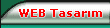 web tasar�m