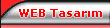 web tasar�m