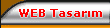 web tasar�m